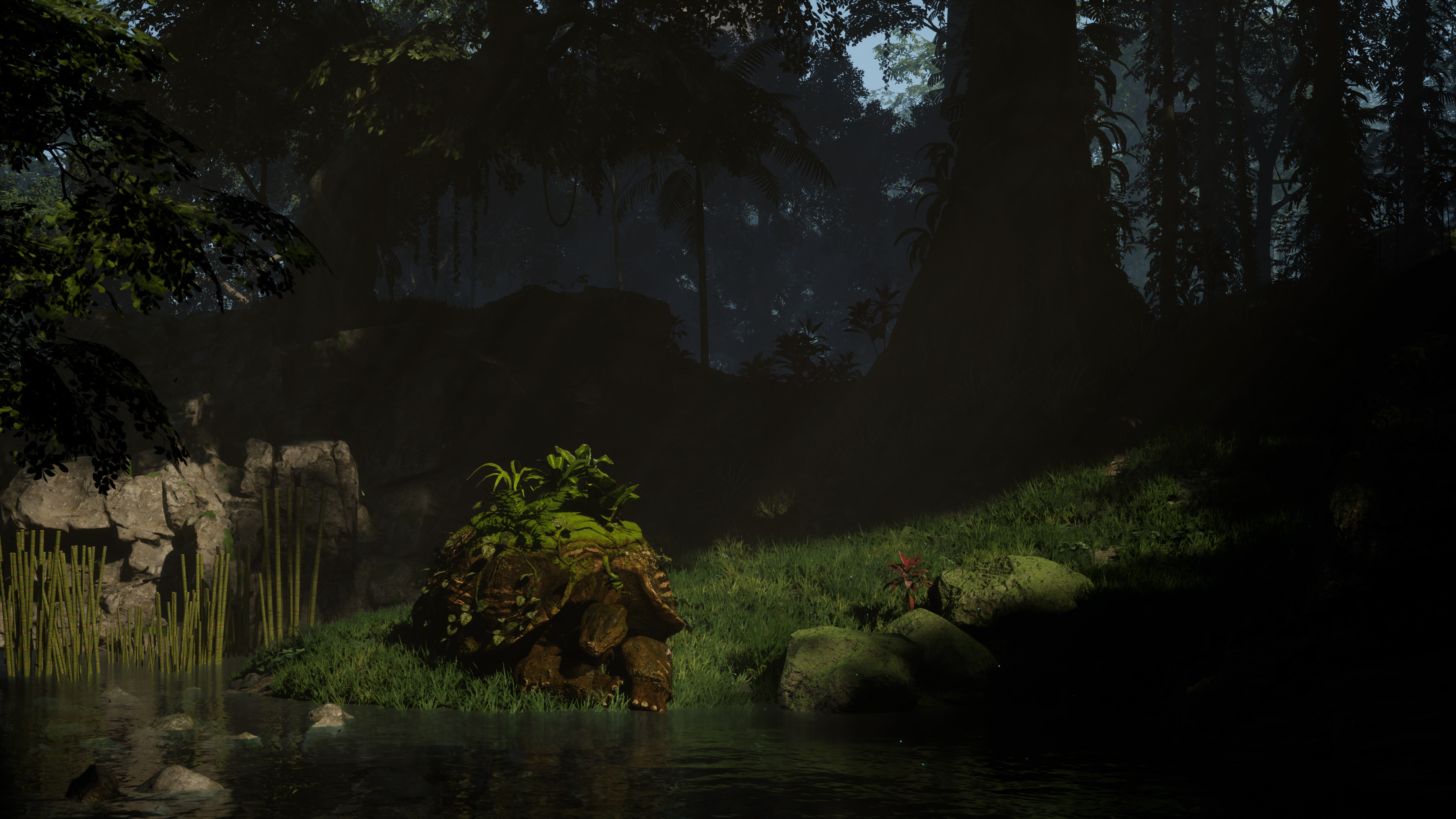 Early Access image (enhanced in post production)